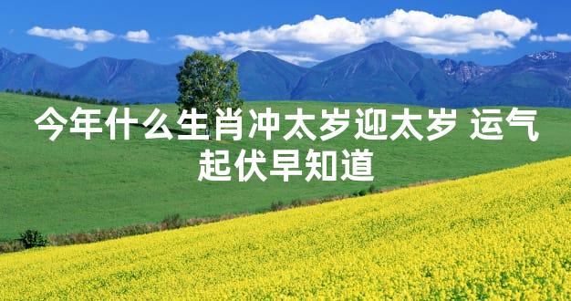 今年什么生肖冲太岁迎太岁 运气起伏早知道